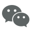 描述